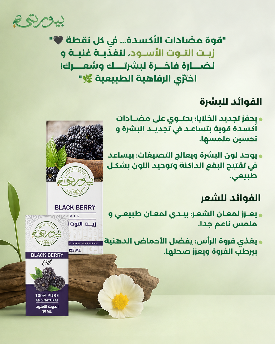 زيت التوت االسود