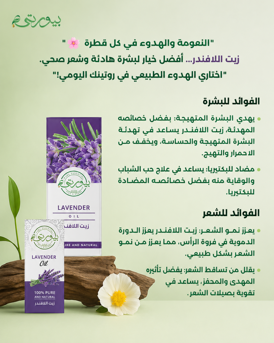 زيت الـ لافندر