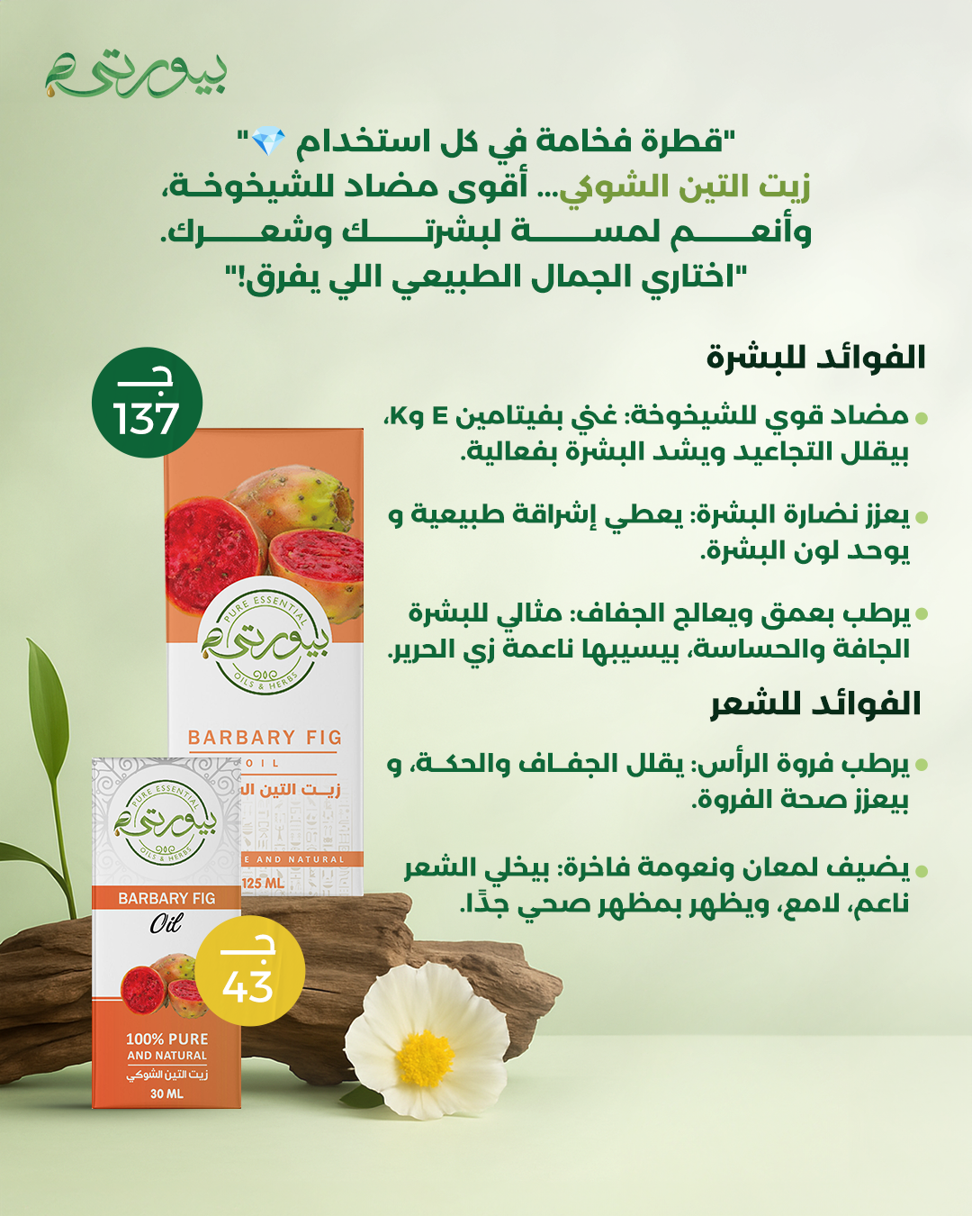 زيت التين الشوكي