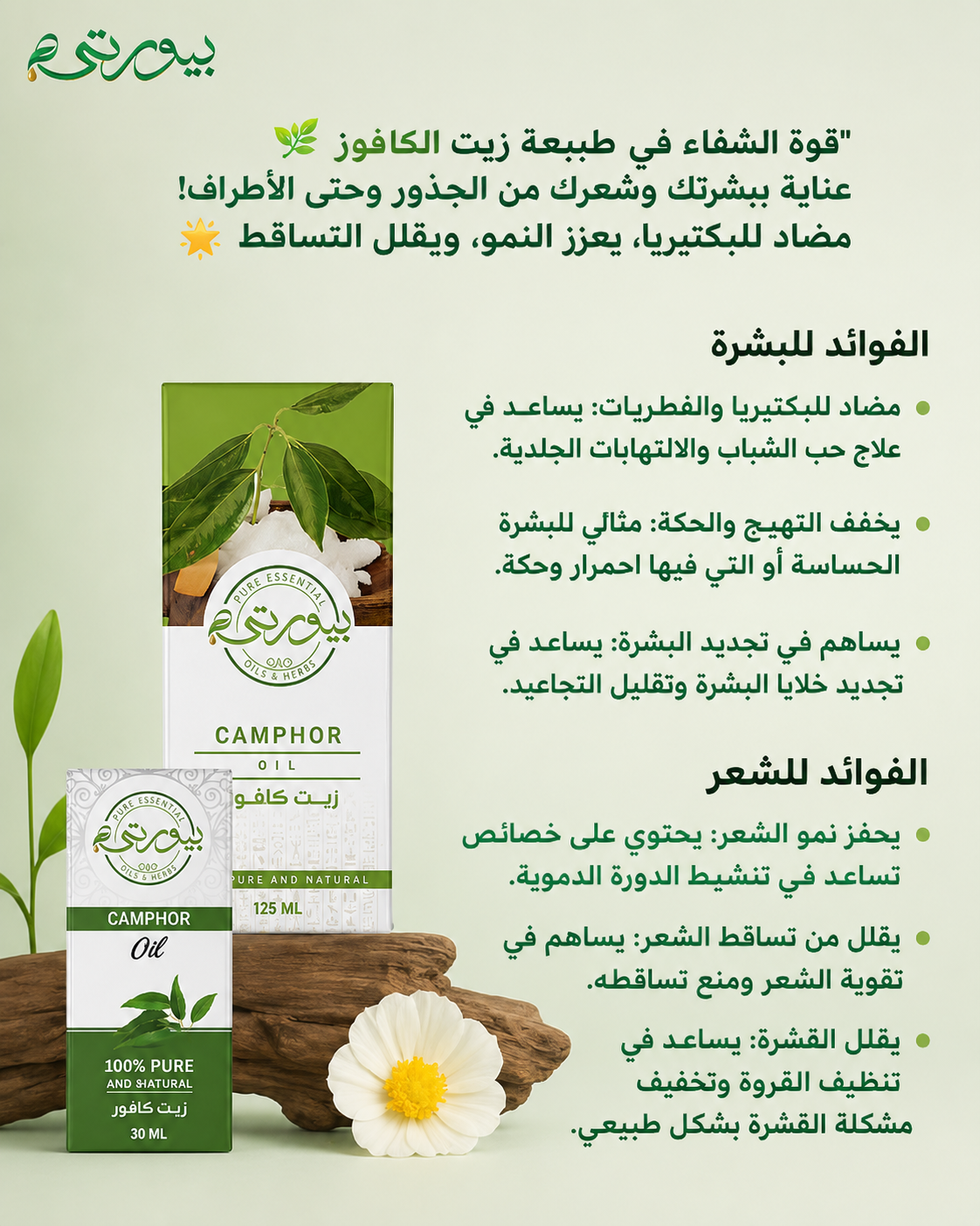 زيت الكافور