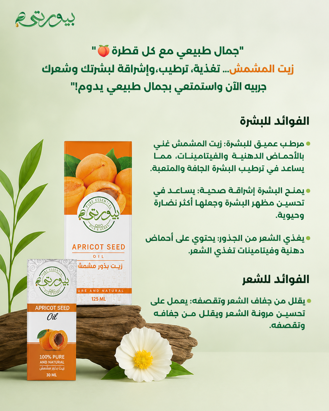 زيت المشمش