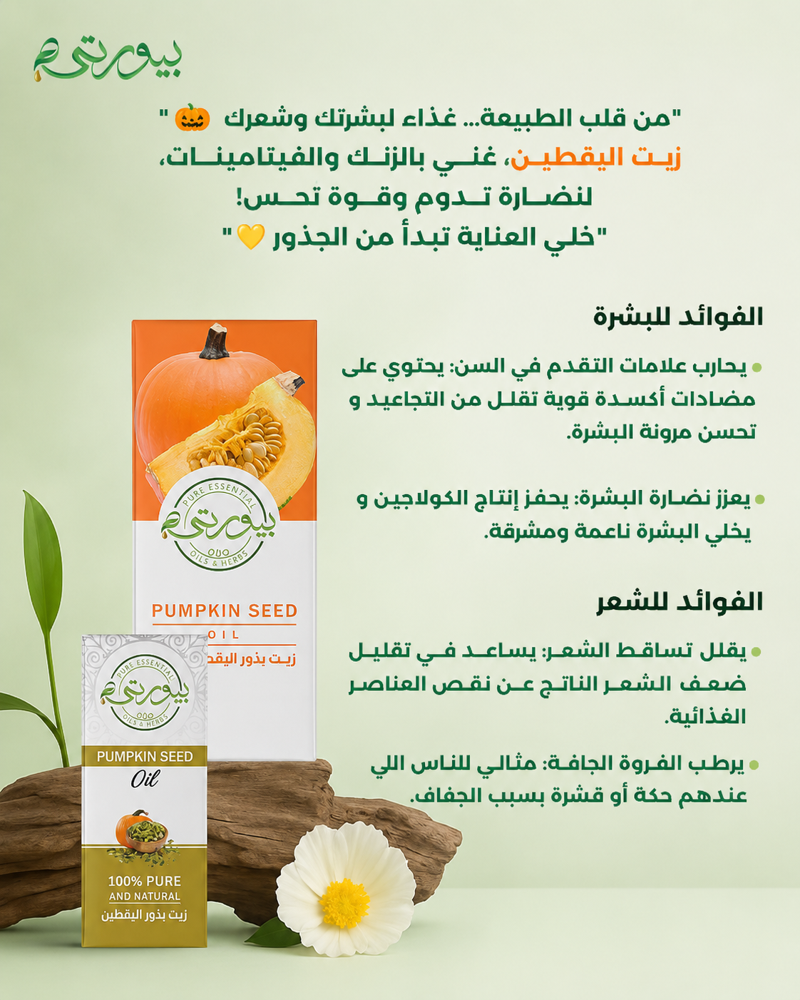 زيت اليقطين